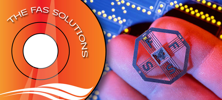 THE FAS SOLUTIONS